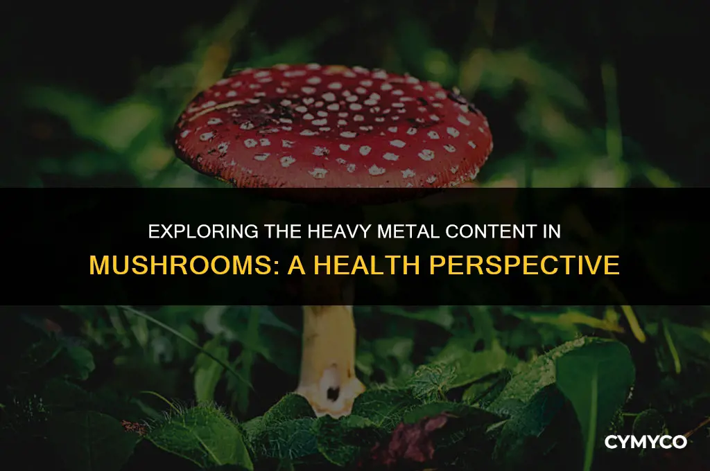 does mushroom contain heavy metals