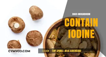 Unlocking Nature's Secrets: The Iodine Content in Mushrooms Explained