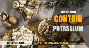 Exploring the Nutritional Benefits: Do Mushrooms Contain Potassium?