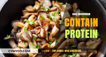 Exploring the Protein Content in Mushrooms: A Nutritional Insight