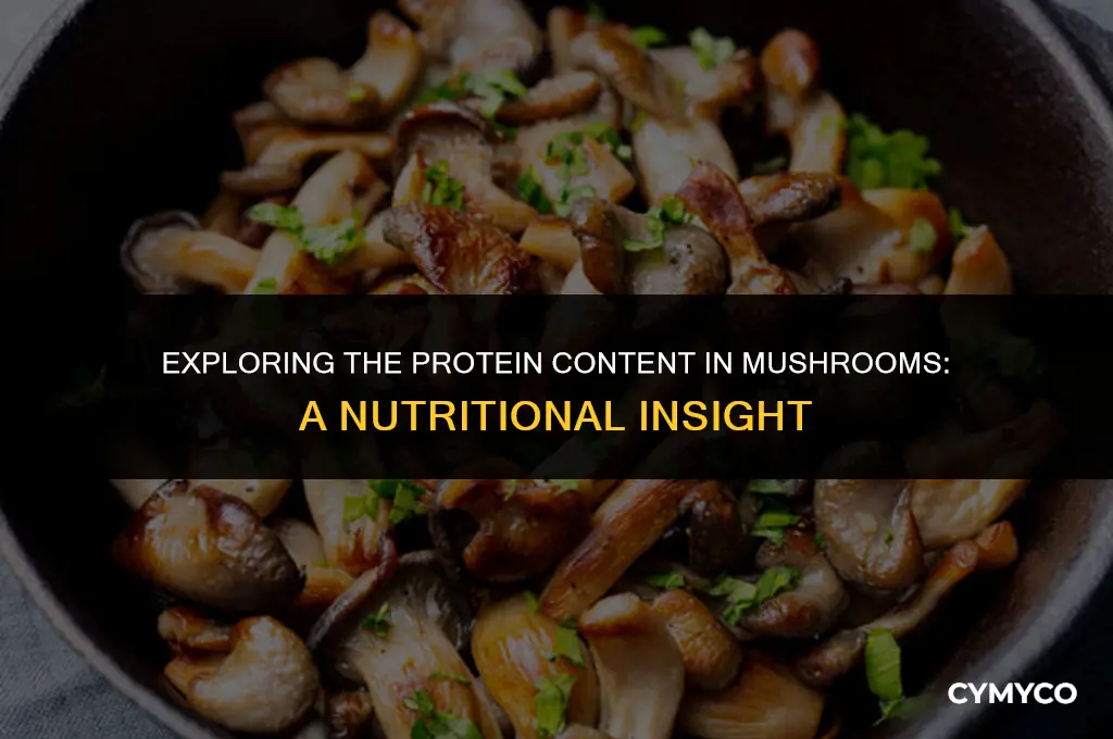 does mushroom contain protein