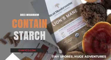 Exploring the Nutritional Profile of Mushrooms: Starch Content Uncovered