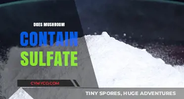 Exploring the Nutritional Benefits: Do Mushrooms Contain Sulfate?