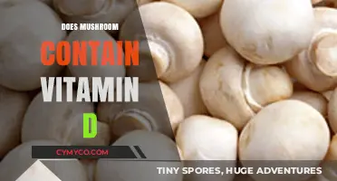 Unlocking the Nutritional Secrets: Do Mushrooms Contain Vitamin D?