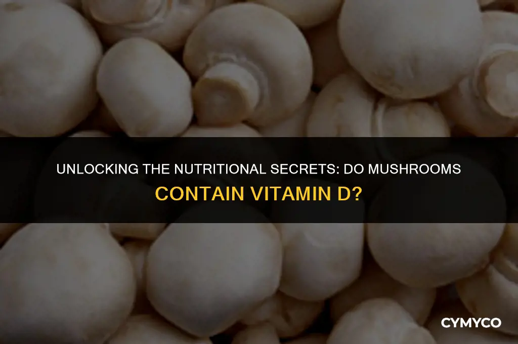 does mushroom contain vitamin d