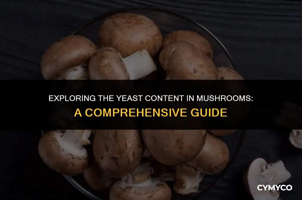 does mushroom contain yeast