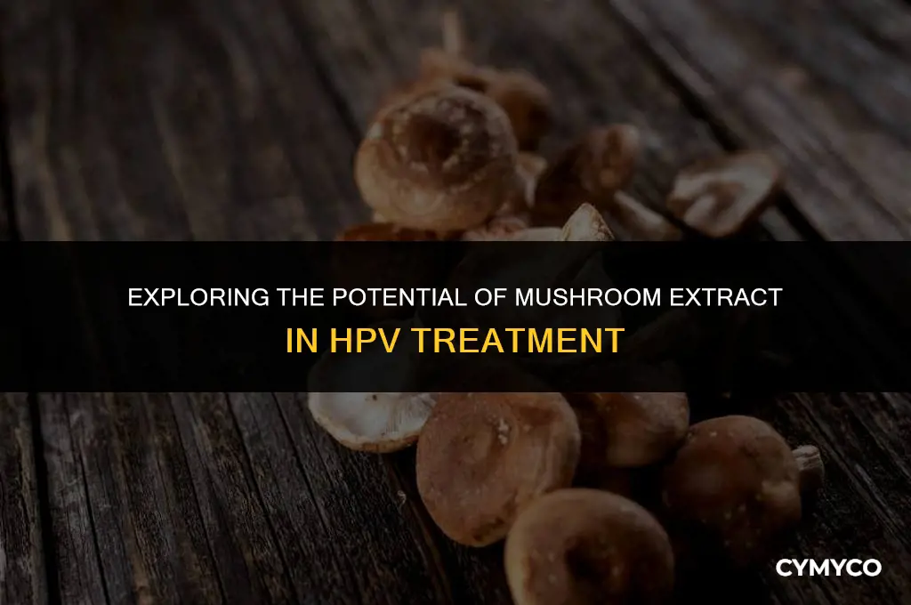 does mushroom extract cure hpv