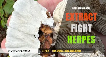 Exploring the Potential of Mushroom Extract in Combating Herpes