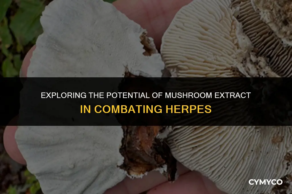 does mushroom extract fight herpes