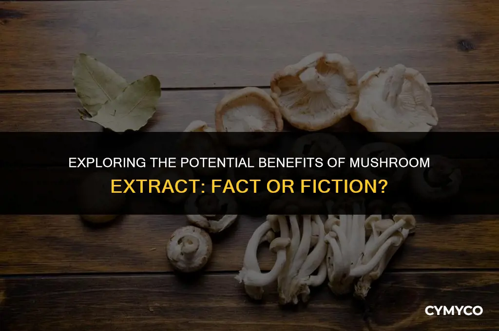 does mushroom extract really work