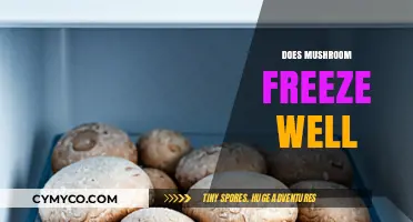 Mushroom Magic: Freezing Techniques for Optimal Flavor and Texture