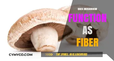 Exploring the Role of Mushrooms as a Dietary Fiber Source