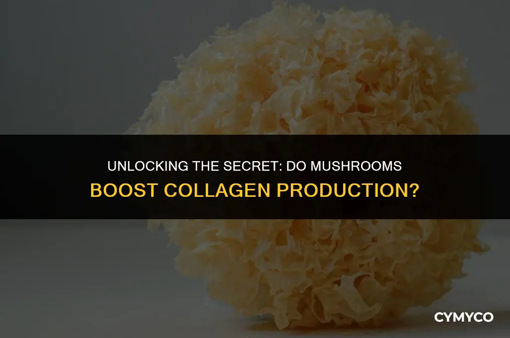 does mushroom generate collagen