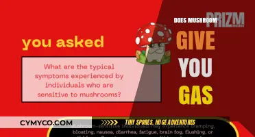 The Surprising Truth About Mushrooms and Gas: A Digestive Dilemma