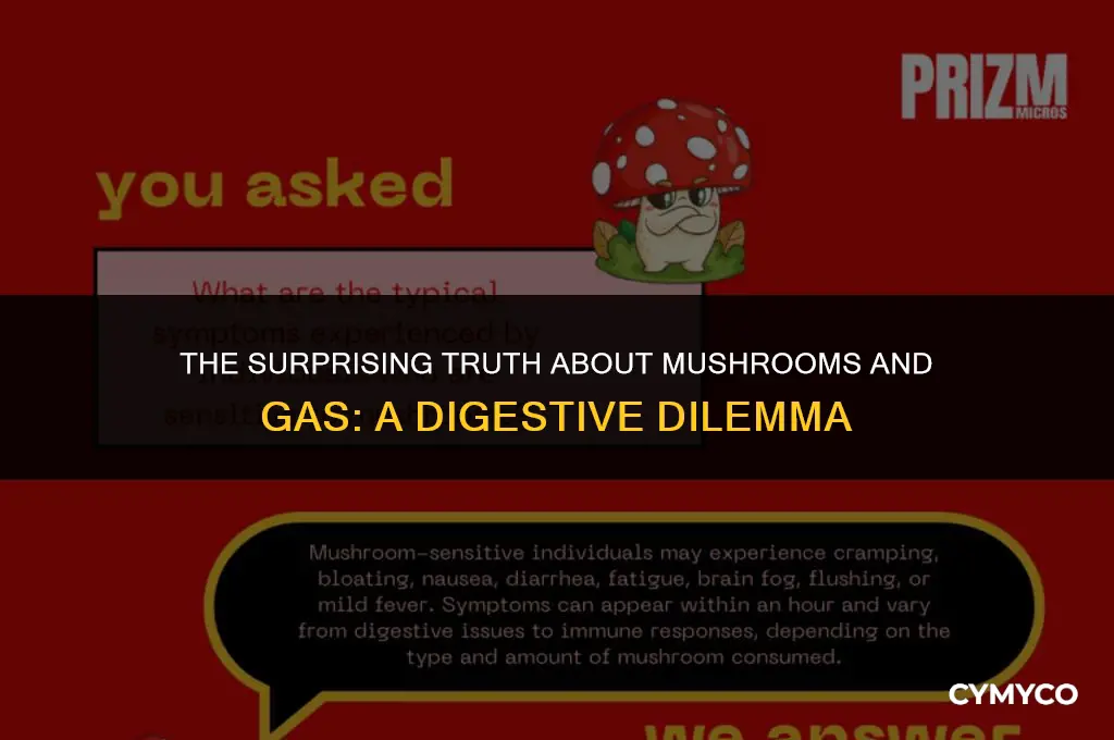 does mushroom give you gas
