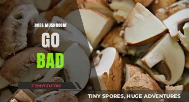 Do Mushrooms Expire? Shelf Life, Storage Tips, and Spoilage Signs