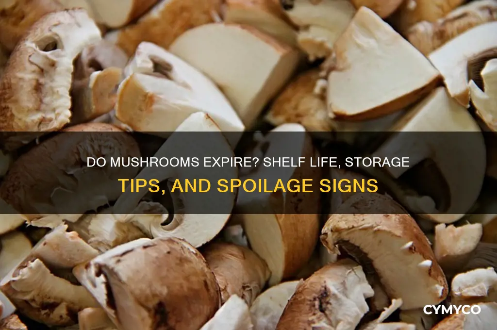 does mushroom go bad