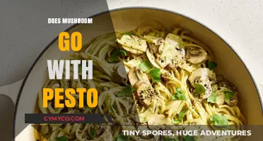 Exploring Flavor Harmony: Mushroom and Pesto Pairing Guide
