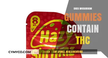 Exploring the Effects: Do Mushroom Gummies Contain THC?
