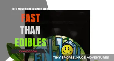 Mushroom Gummies vs. Edibles: Which Delivers Faster Effects?