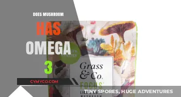 Exploring the Nutritional Benefits: Do Mushrooms Contain Omega-3?
