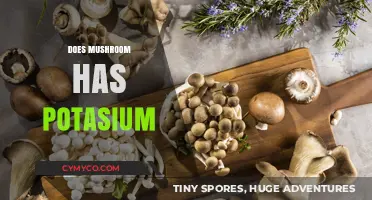 Exploring the Nutritional Benefits: Do Mushrooms Contain Potassium?