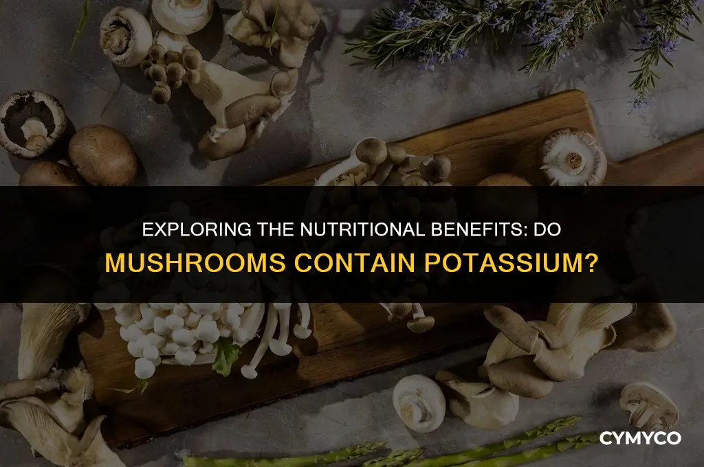 does mushroom has potasium
