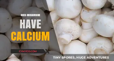 Exploring the Nutritional Benefits: Do Mushrooms Contain Calcium?