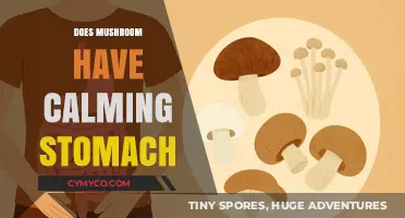 Exploring the Soothing Effects of Mushrooms on Digestive Health