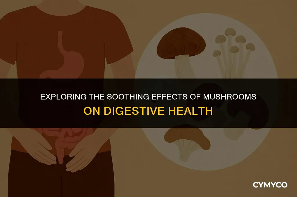 does mushroom have calming stomach