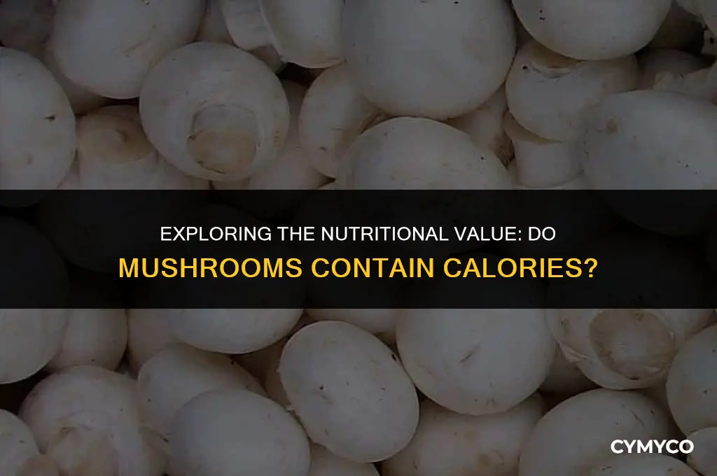 does mushroom have calories