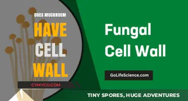 Exploring the Cellular Structure of Mushrooms: Do They Have Cell Walls?