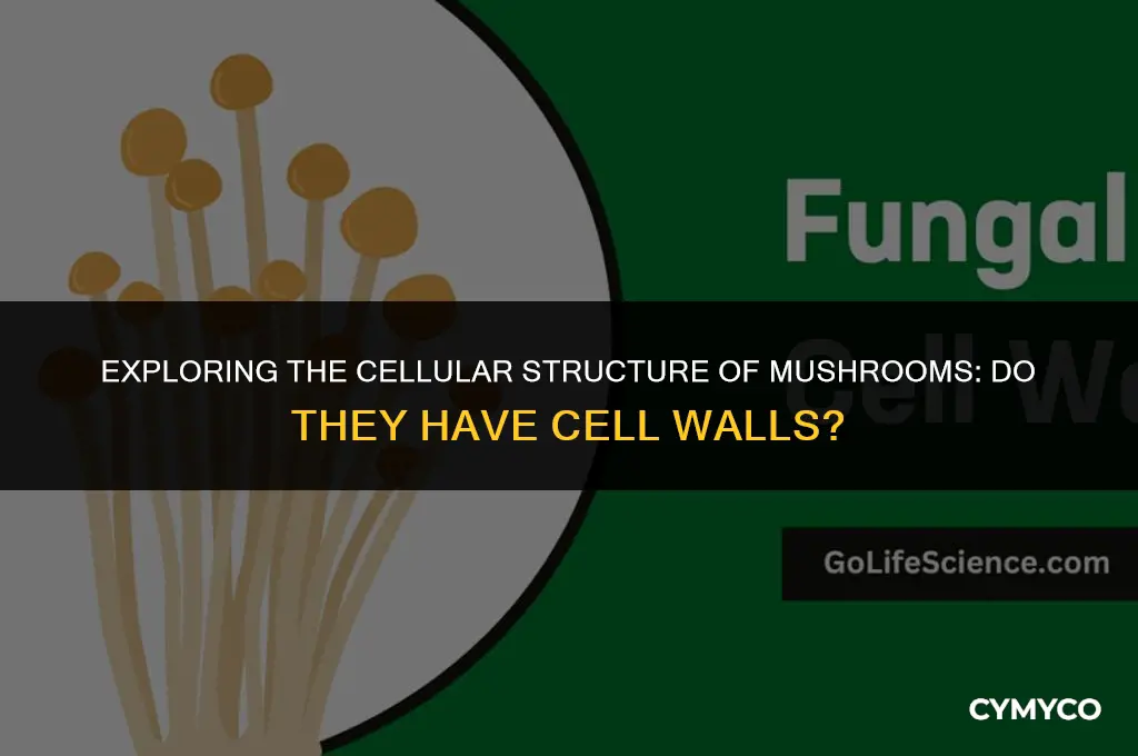 does mushroom have cell wall