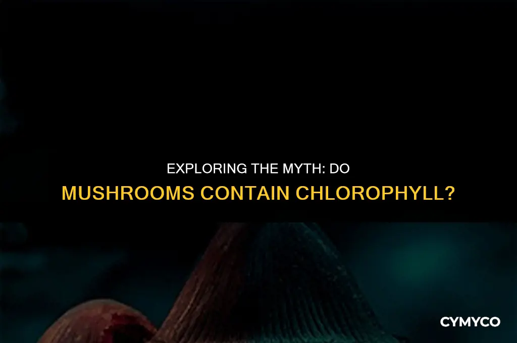does mushroom have chlorophyll