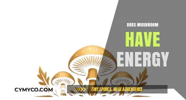 Exploring the Energetic Potential of Mushrooms: A Comprehensive Guide