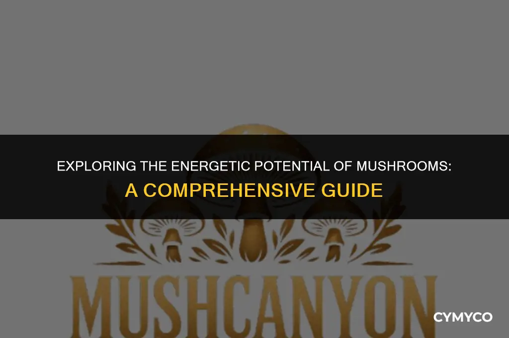 does mushroom have energy