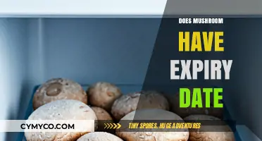 Decoding Mushroom Freshness: Understanding Expiry Dates and Quality