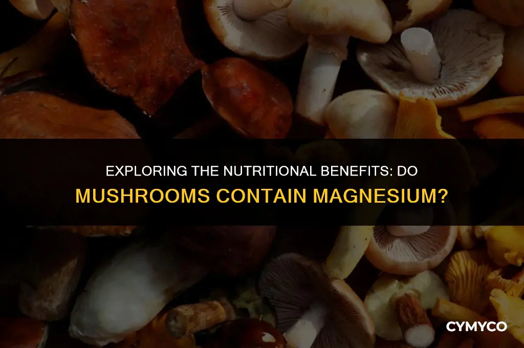 does mushroom have magnesium