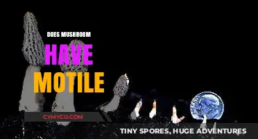 Exploring the Fascinating World of Motile Mushrooms