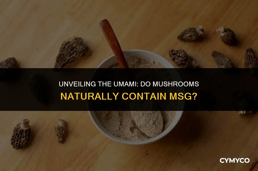 does mushroom have msg