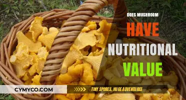 Unlocking the Nutritional Secrets of Mushrooms: A Comprehensive Guide
