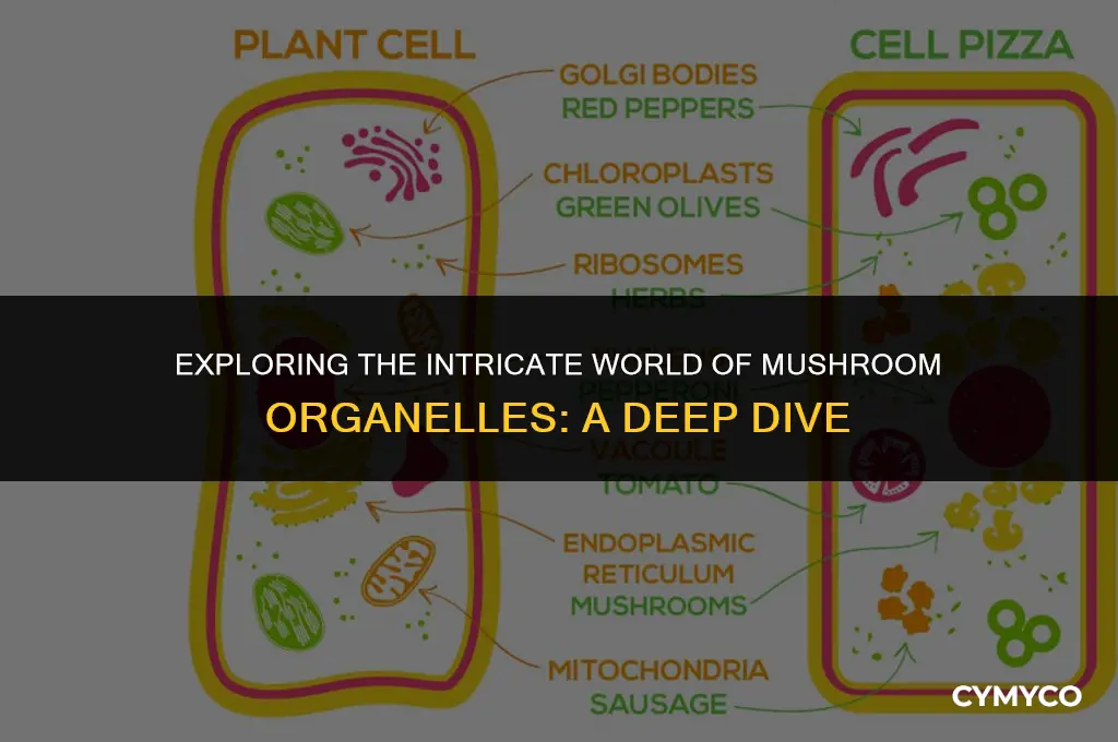 does mushroom have organelles