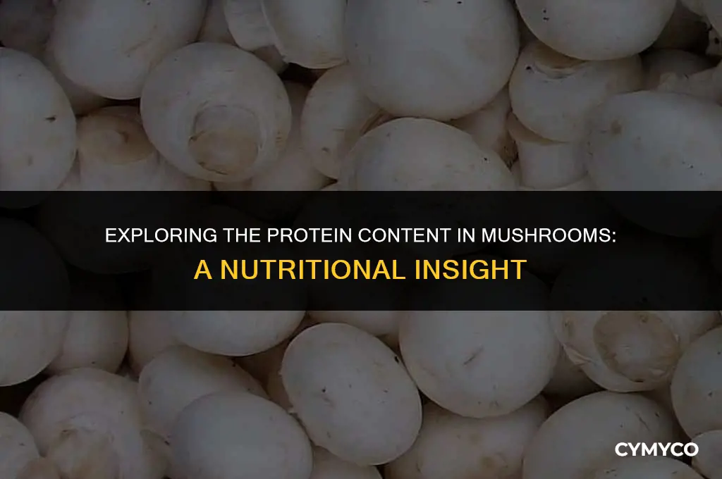 does mushroom have protien