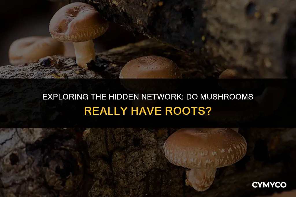 does mushroom have roots