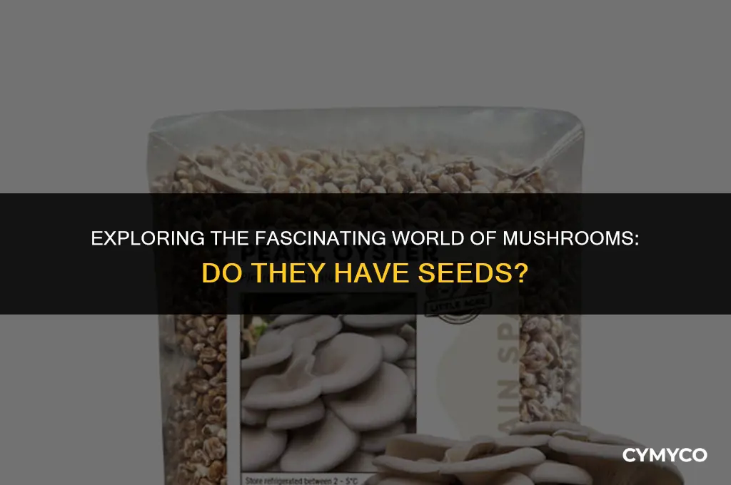 does mushroom have seeds
