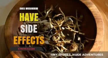 Exploring the Potential Side Effects of Mushrooms: A Comprehensive Guide