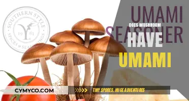 Exploring the Umami Essence: A Journey into Mushroom Flavor