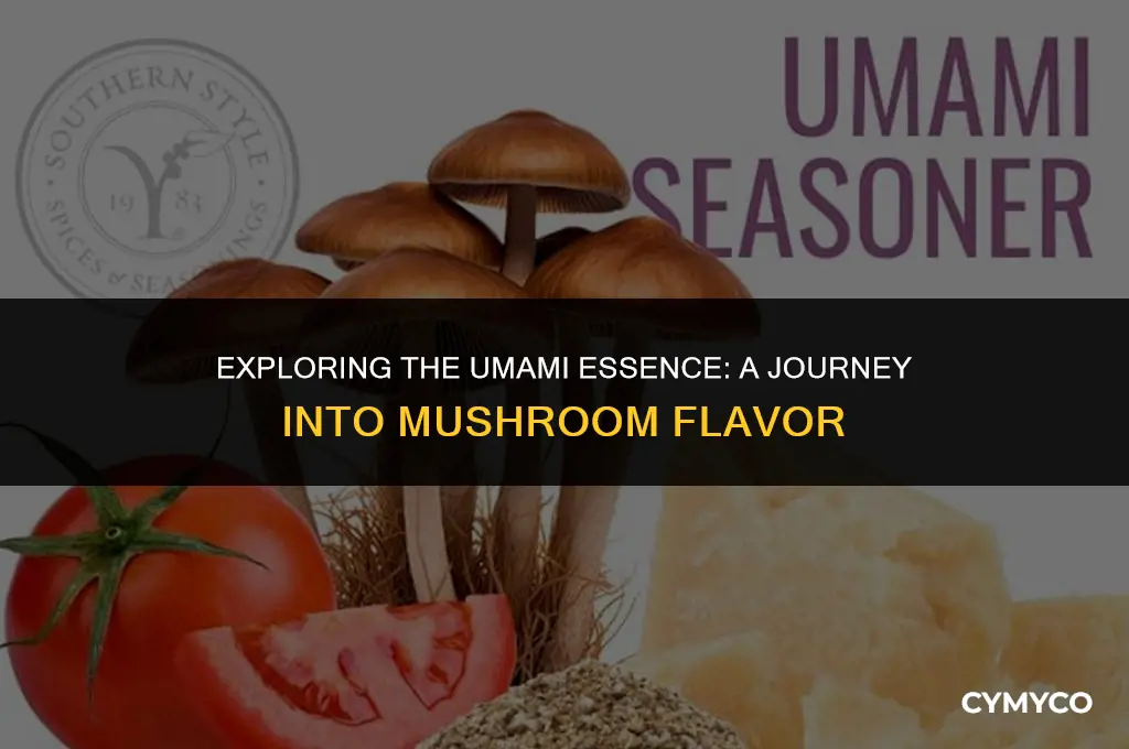 does mushroom have umami