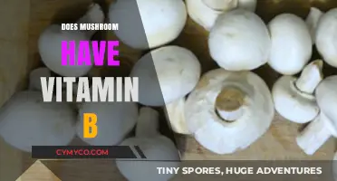 Unlocking the Nutritional Secrets: Do Mushrooms Contain Vitamin B?