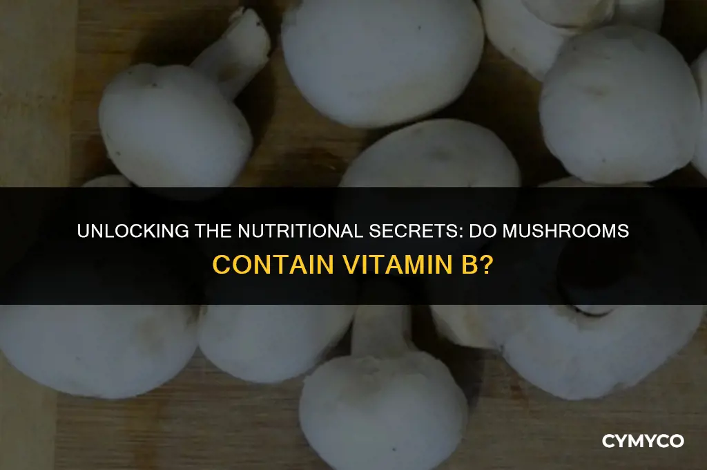 does mushroom have vitamin b